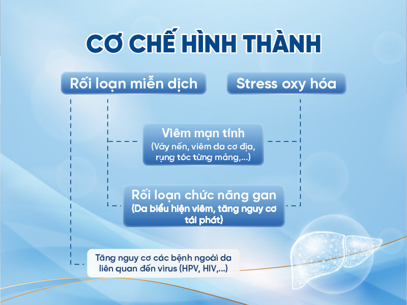 Cơ chế hình thành rối loạn miễn dịch và stress oxy hóa